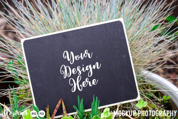 Download Garden Mockup Styled Stock Photography - Garden mockup Collection